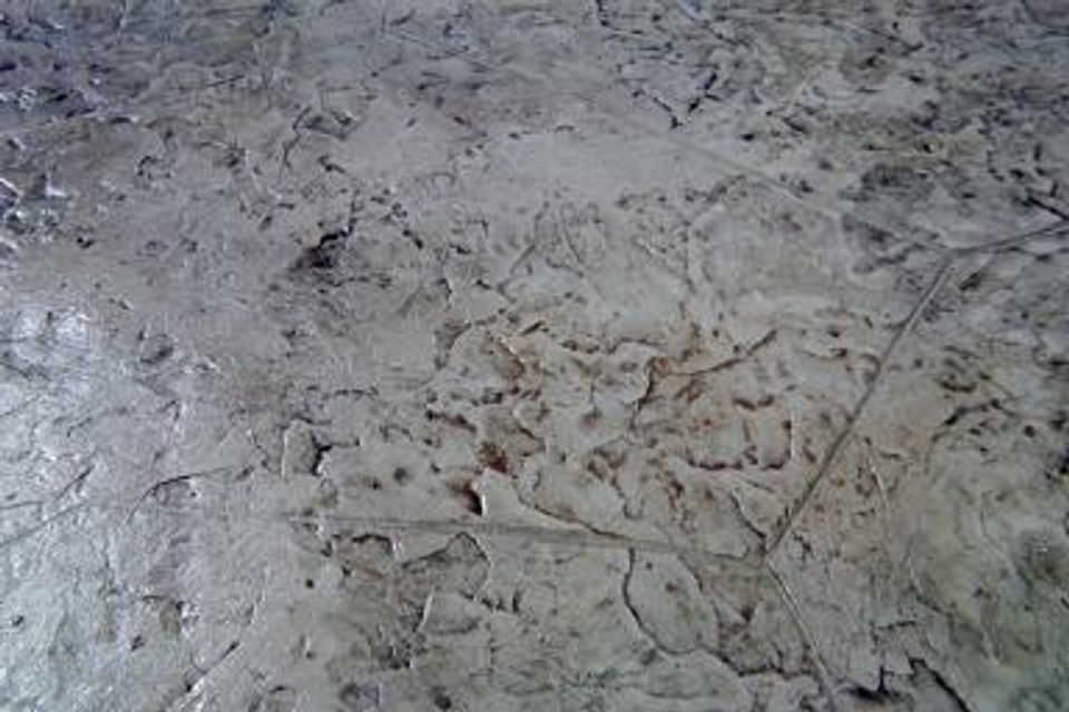 Fin1220160927 13505 12pedis