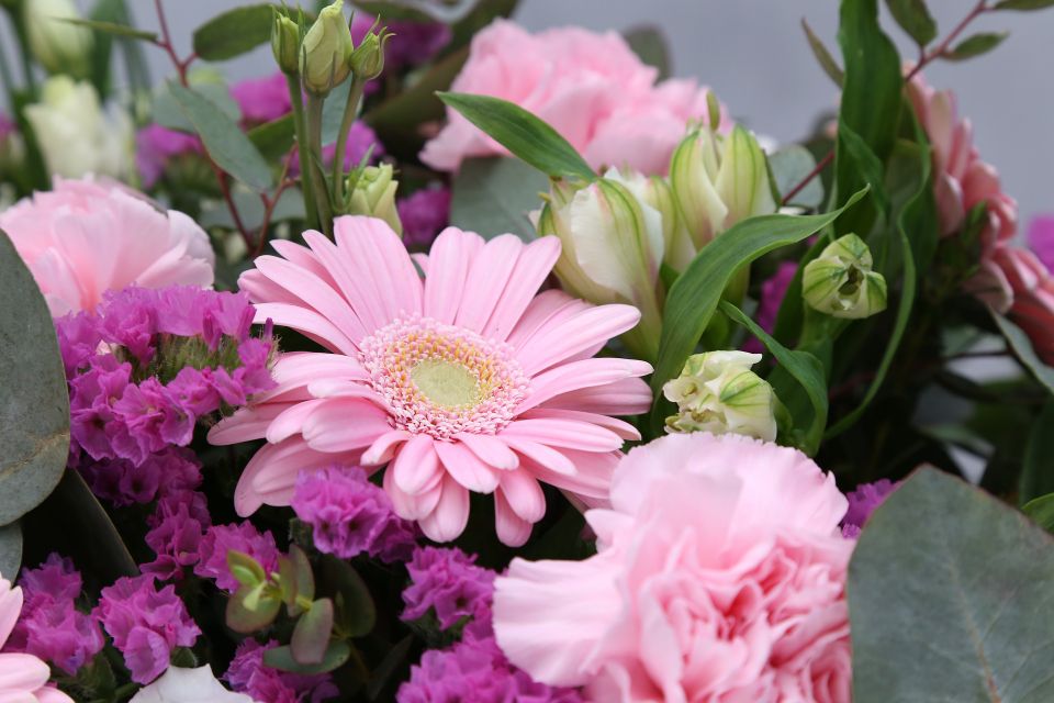 Flowers g8527f0024 1920