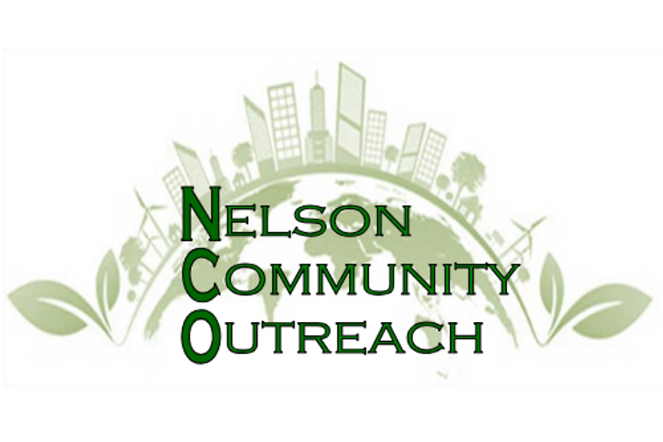 Nelson logo