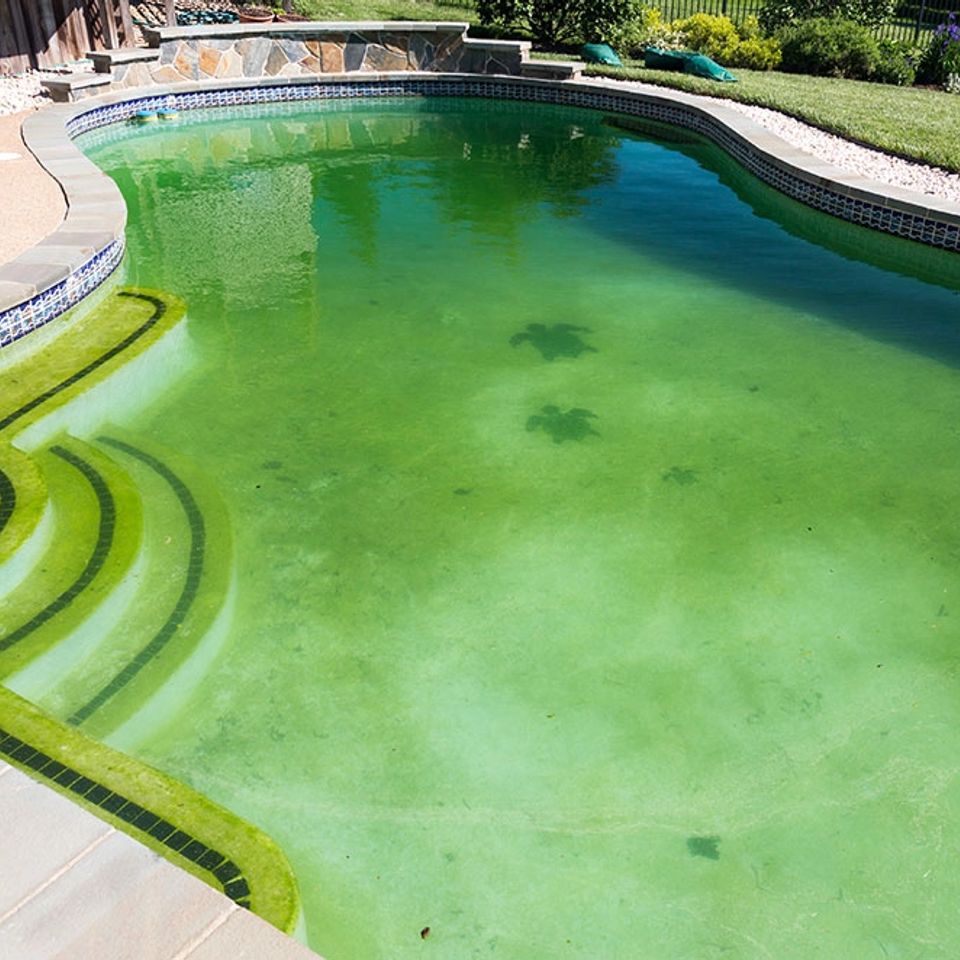 How to remove green algae from a pool