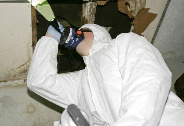 Iaq asbestos testing