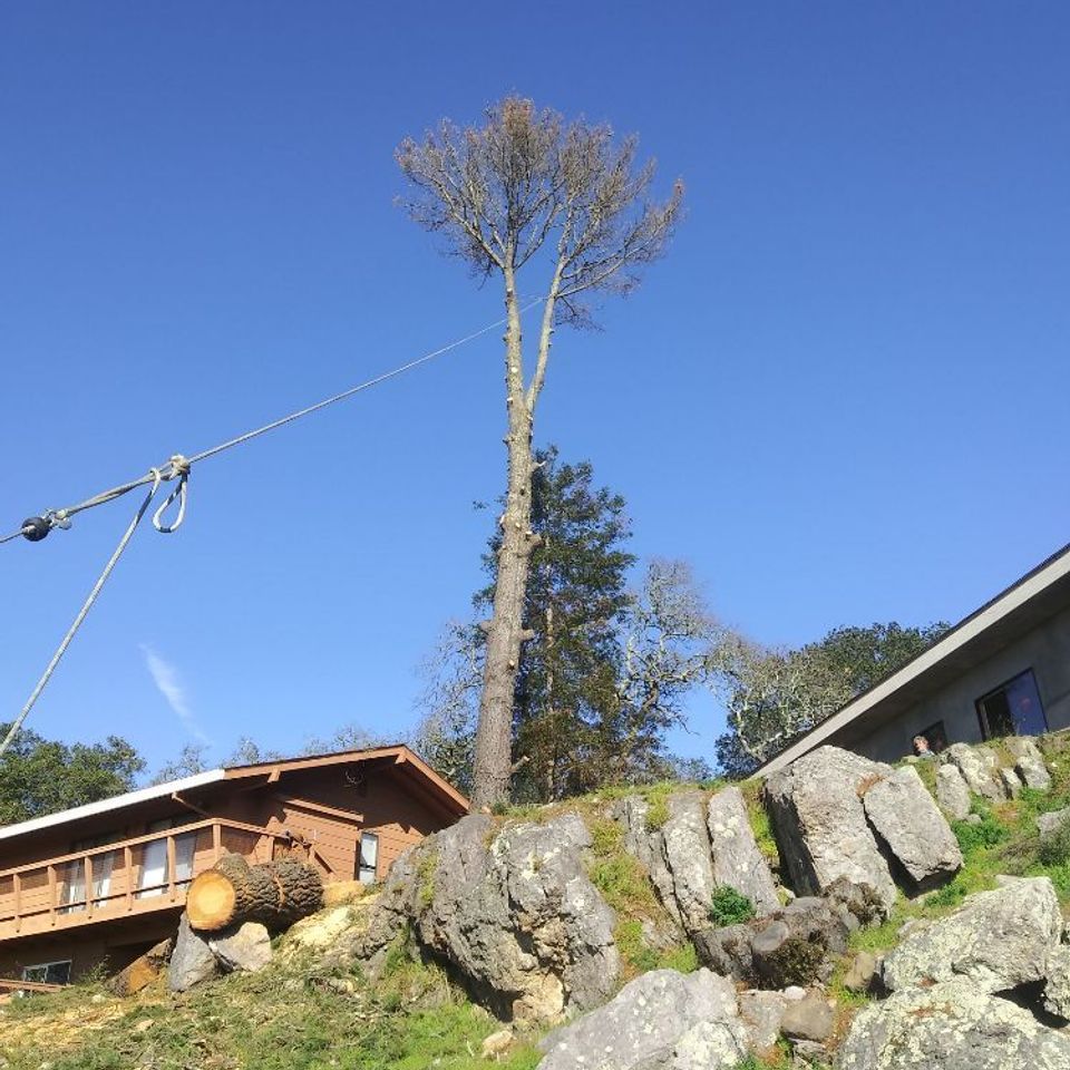 O   2024 04 17t154635.149