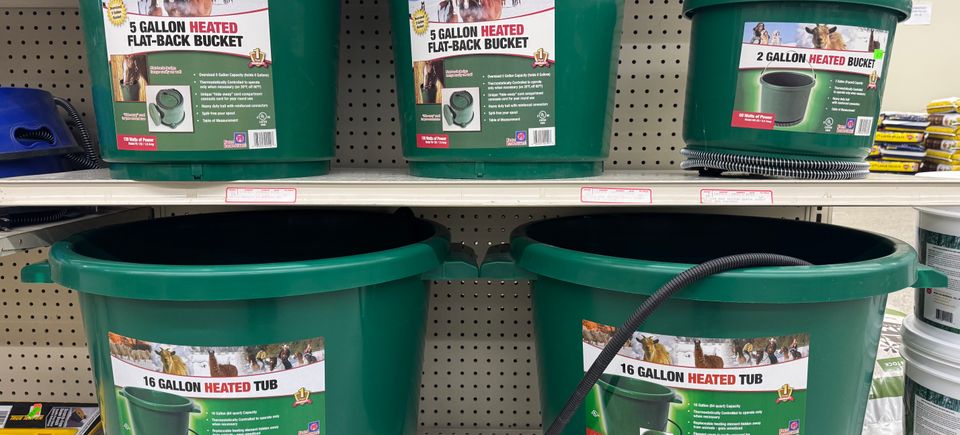 (upload from mobile 1766153976)img 2850