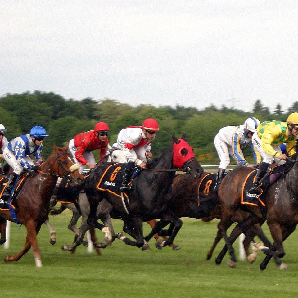 Horse race g070063144 1920
