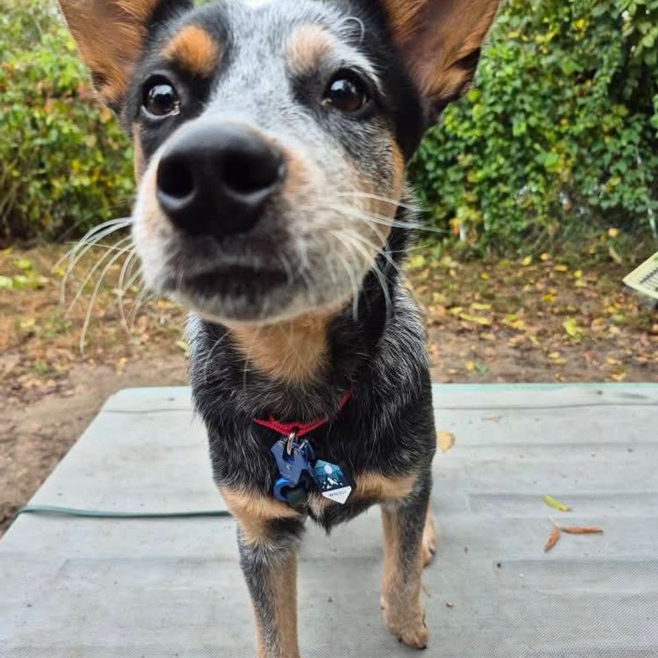 Fb img 1769435337802