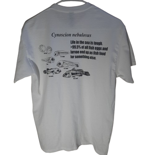 Innerspace spotted back