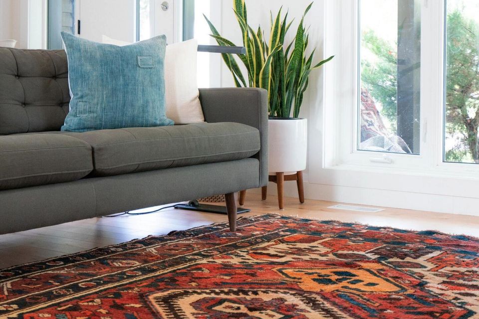 Modern living room with gray sofa, blue throw pillow, snake plant in white planter, large windows, and colorful patterned area rug