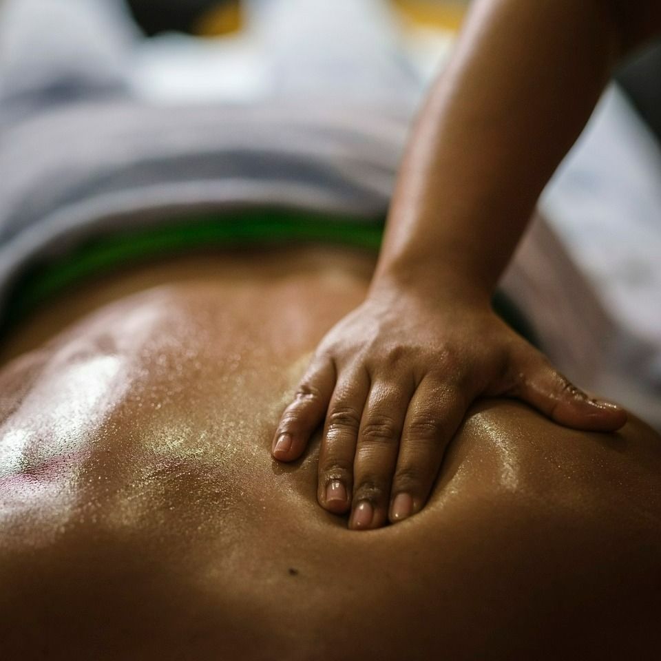 494432586 1288231799971719 5299491527358390174 n