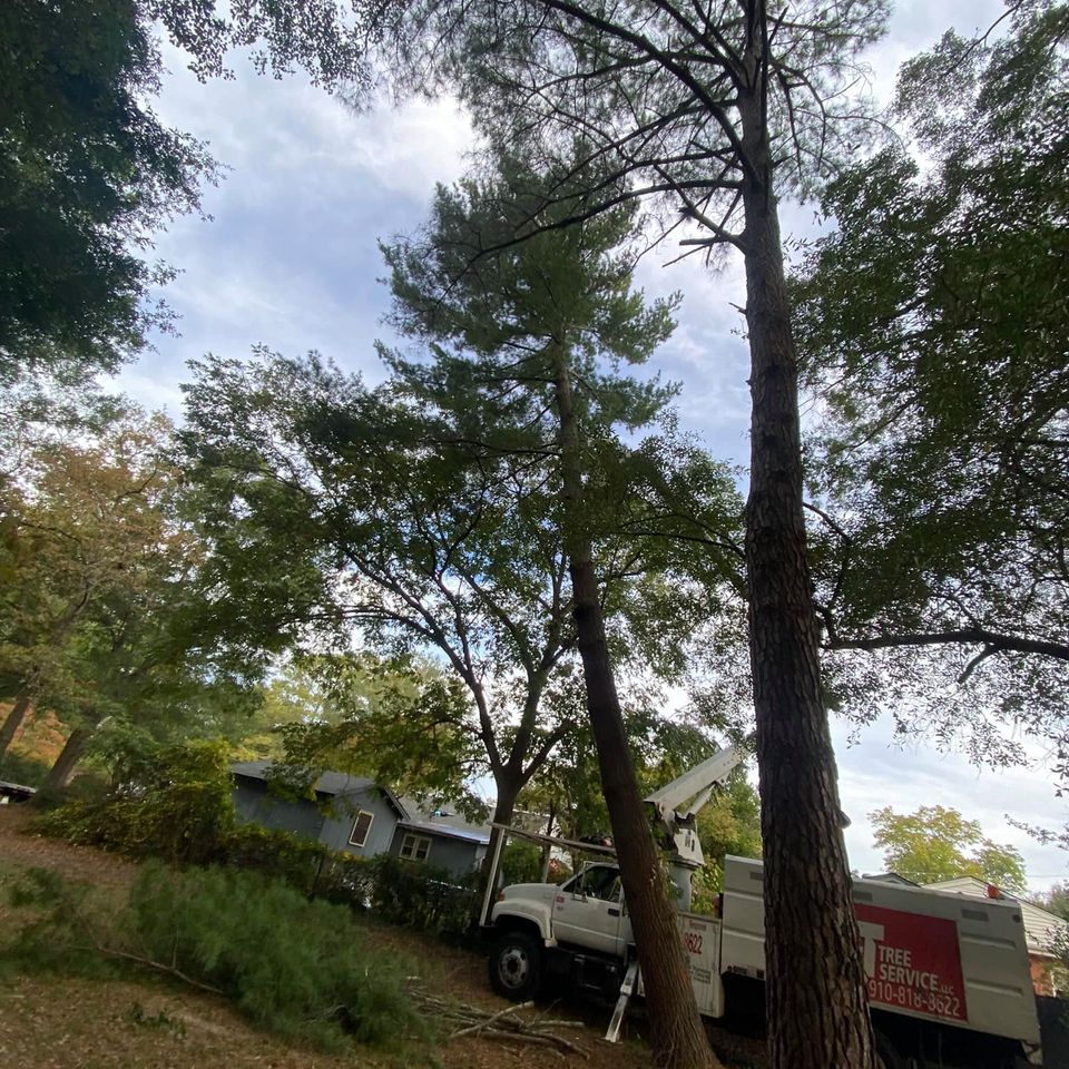 469398762 1491394768190662 3600189566069169190 n