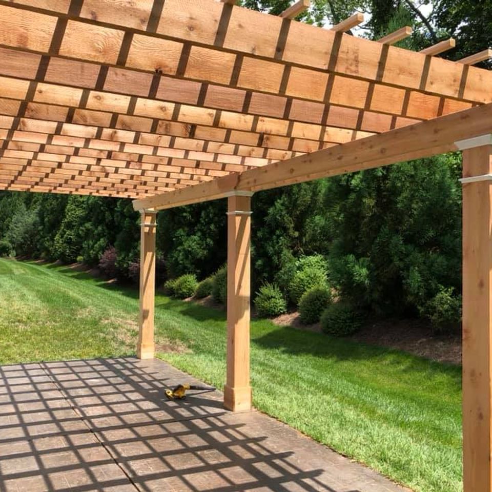 64873133 2199209553532023 9162621274936049664 n