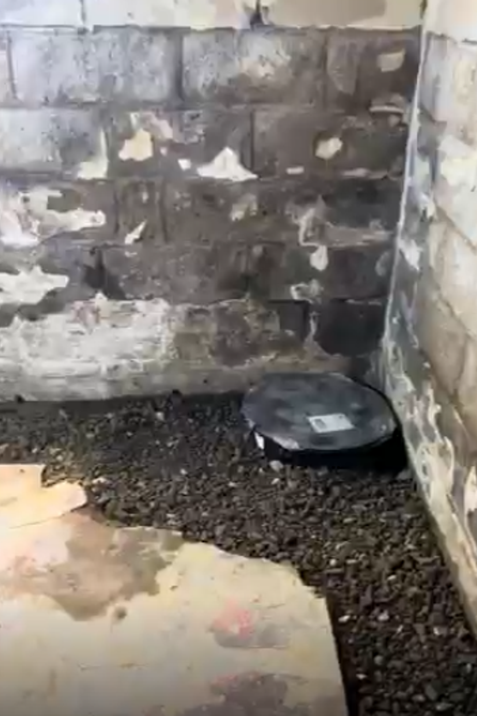 Screenshot 2025 11 16 222724