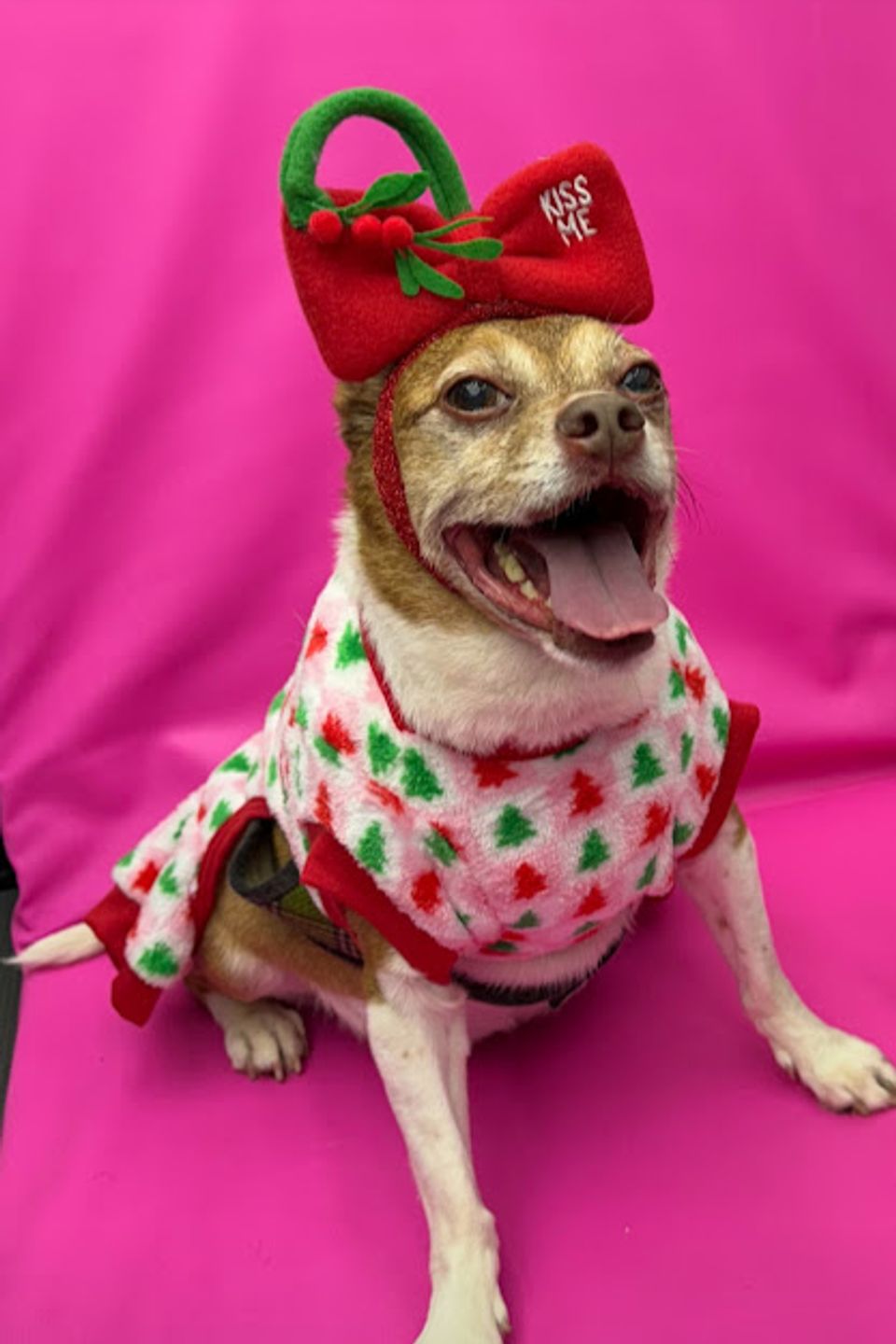 Jingles