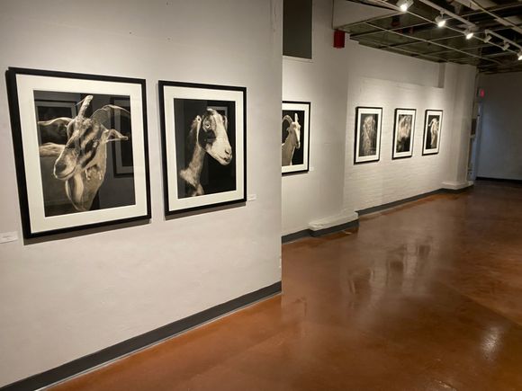 Horan exhibit photo 7