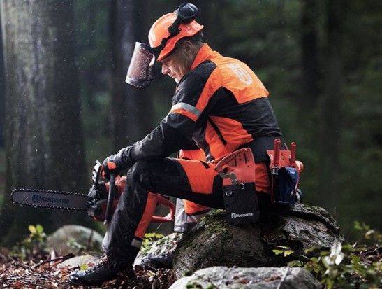 Arborist 2