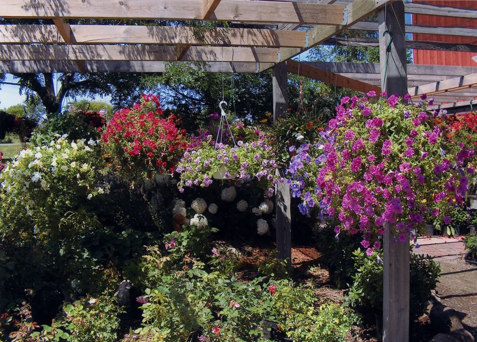 Millhome nursery 1020160210 24172 1bv9eaf