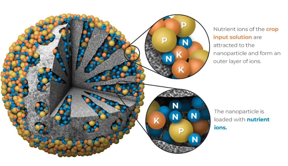 Nutrient nanoparticle 1920w