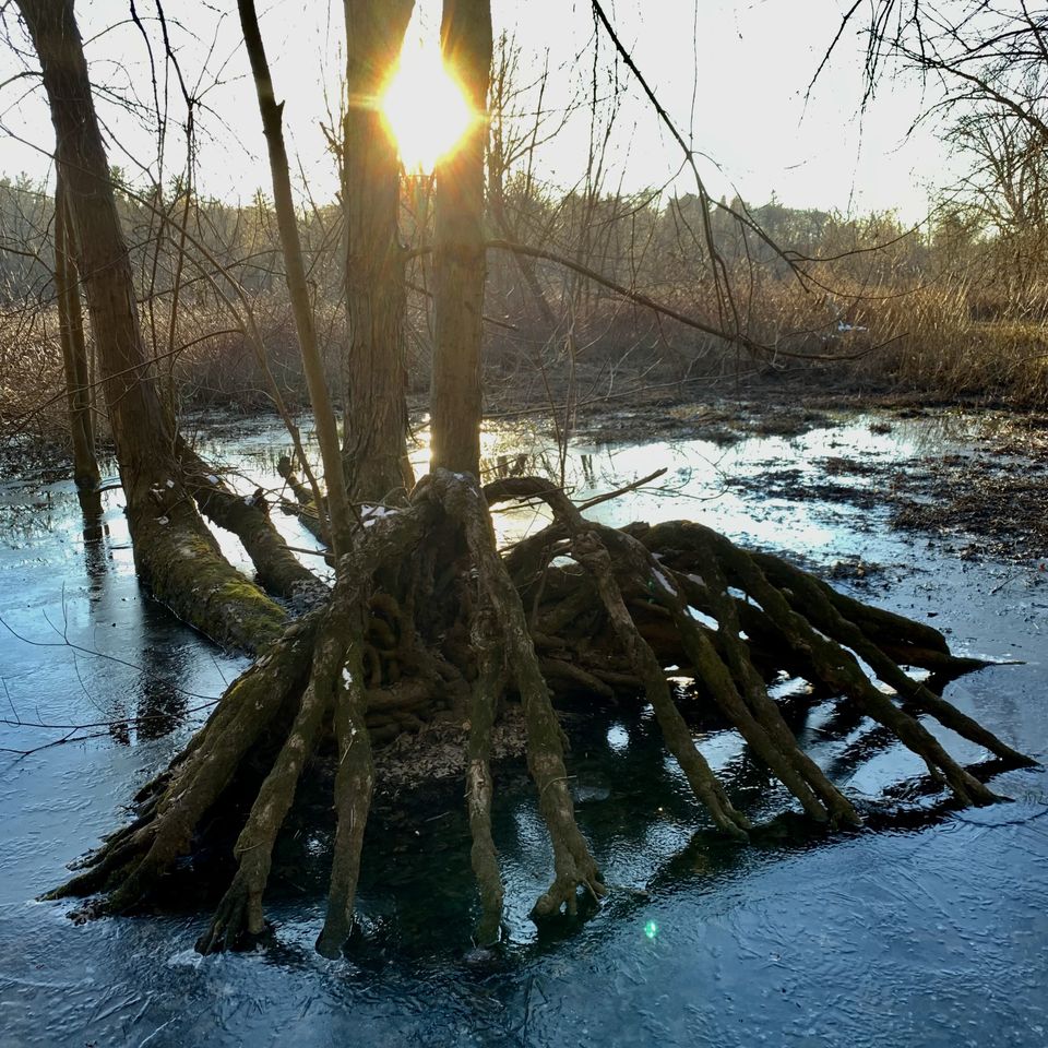 10x10 neil   gargantula  waiting for thaw