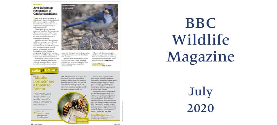 Bbc wildlife july 2020