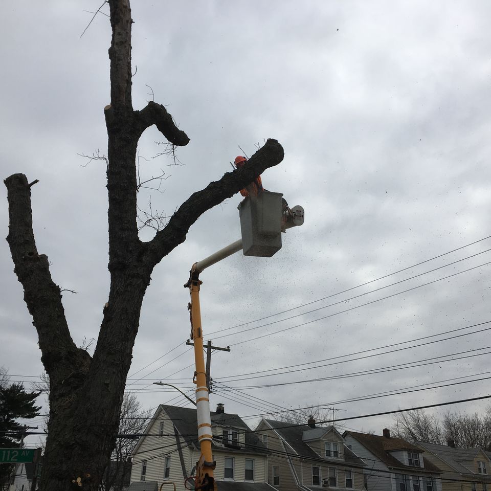 www.valleytreeny.com - cutting a tree with a bucket truck