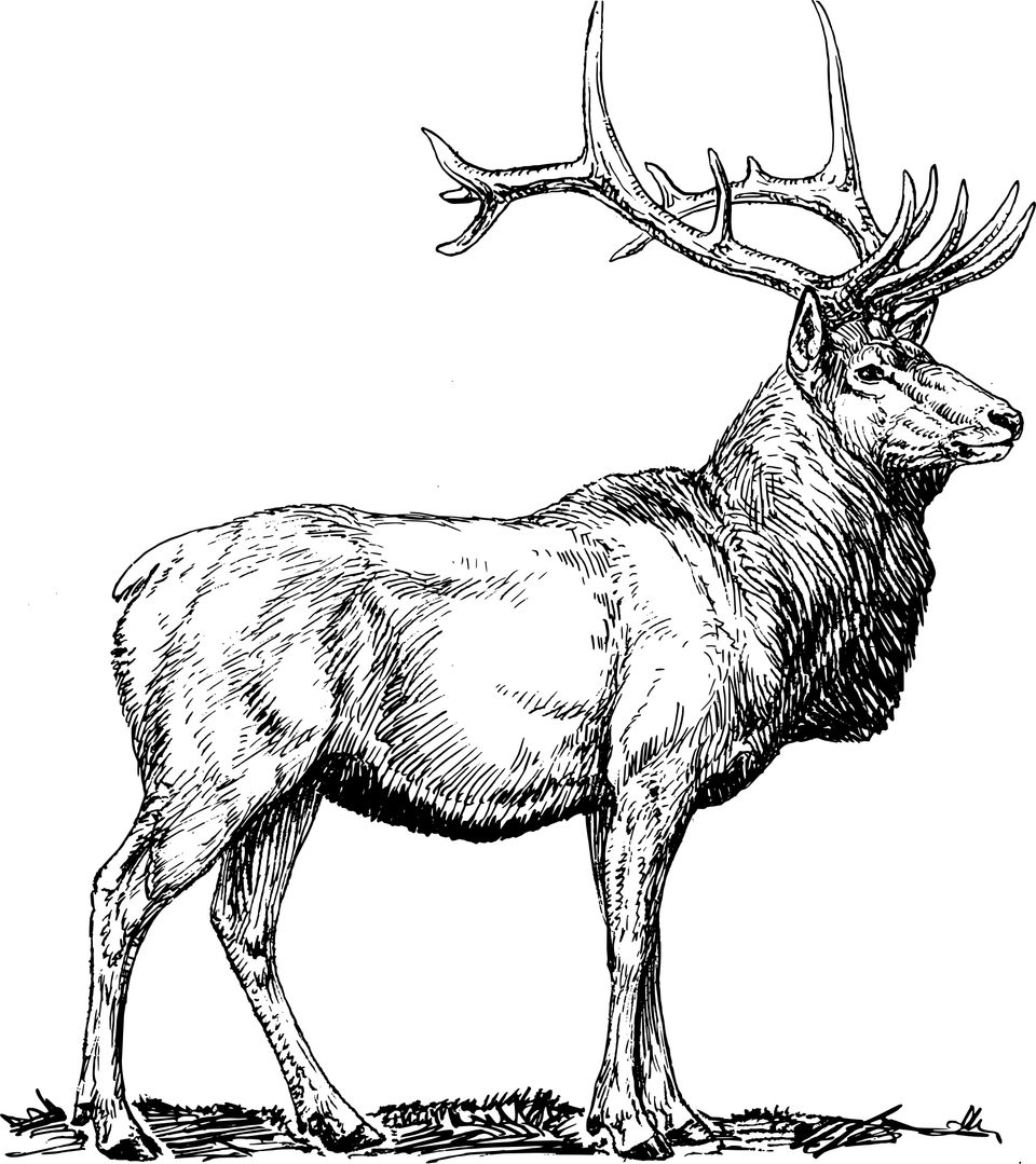 Elk gea374c52b 1920