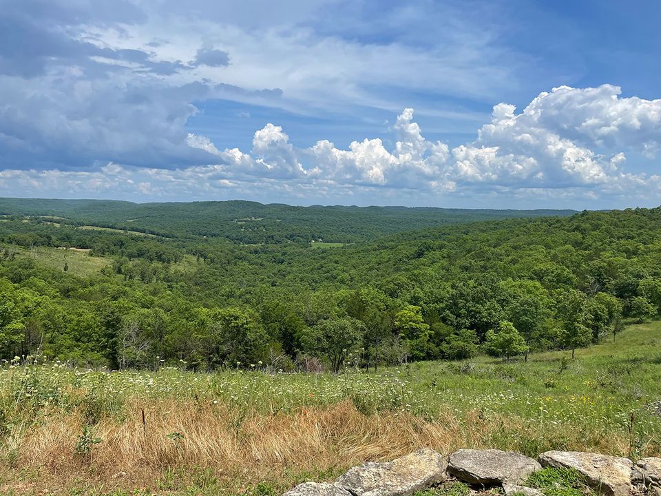 Bull valley