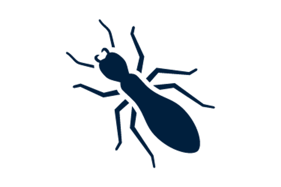 Service icons termites