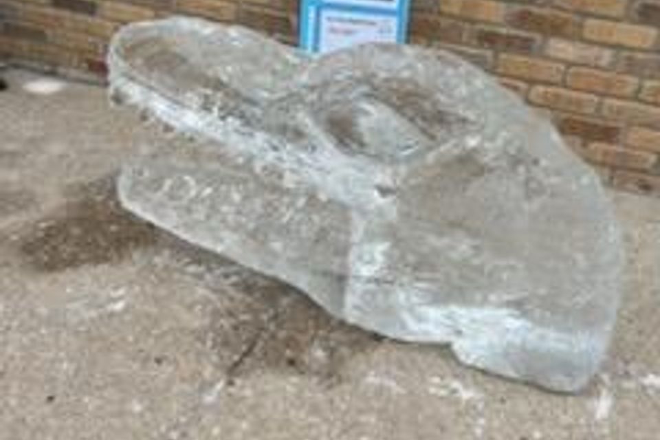 Ice carving 2025 45