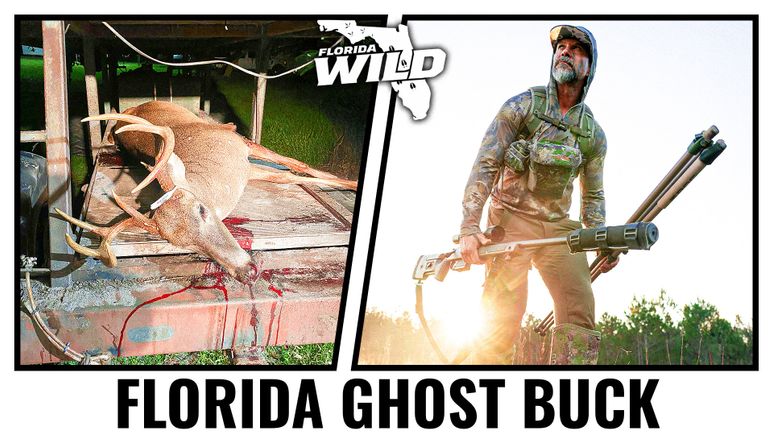 Brian (florida ghost buck) thumbnail 1st