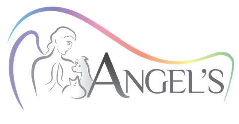 Angels logo cmyk clear 2 480x