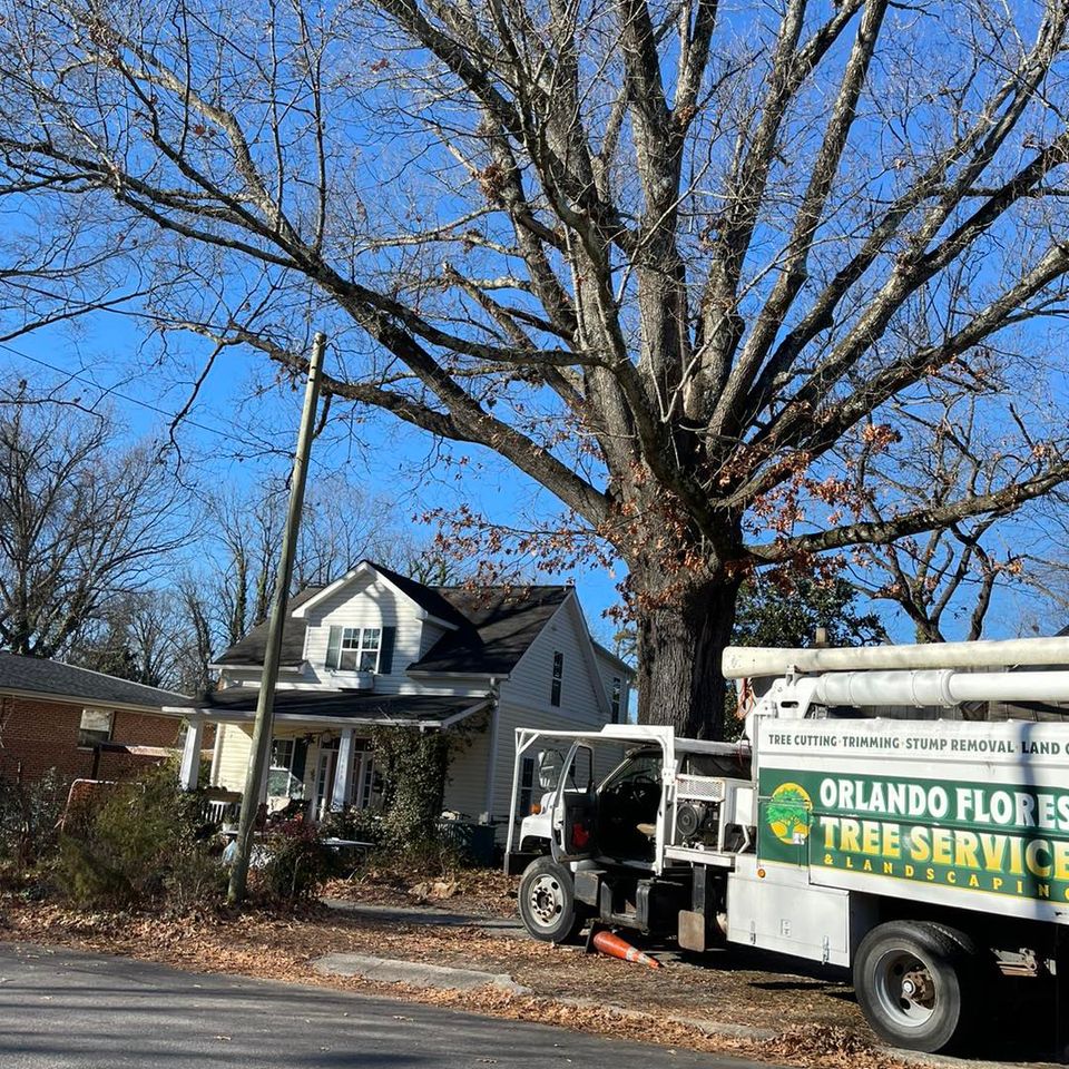 Flores Tree Service, Tree Removal near Durham NC, Tree Services near Durham NC, Tree Trimming, Tree Pruning, Stump Grinding, Flores Tree Service in Durham NC, Tree Services Near Me, 