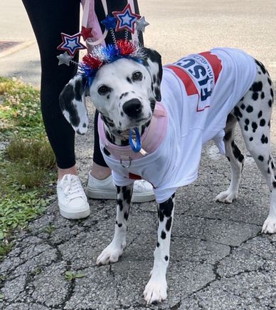 Lady july 4
