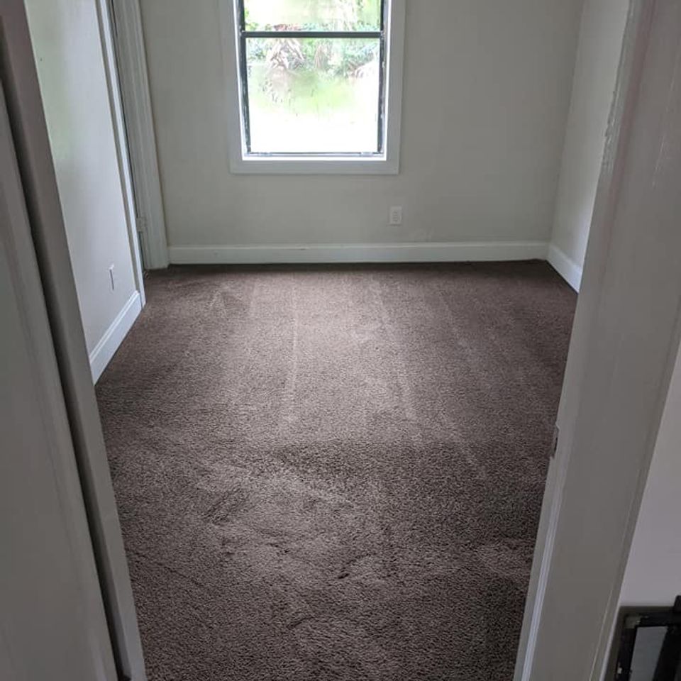 Decked out carpet 2