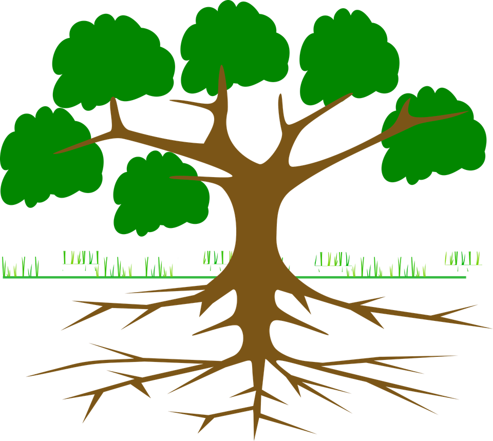 Tree g657986e45 1920