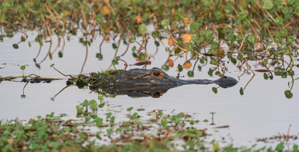 Screenshot 2026 02 23 at 11.03.23 am