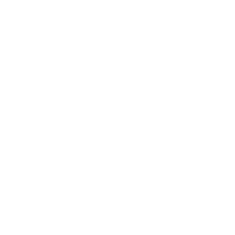 Nordstrom Guns