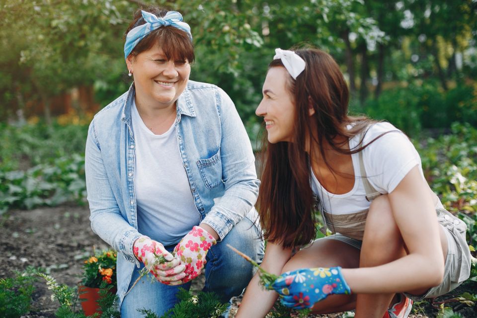 Disability Support Services