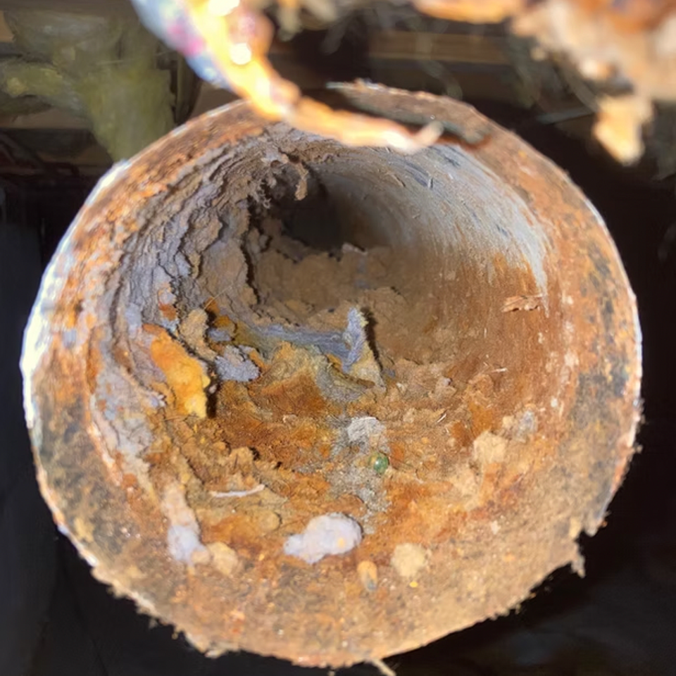 Screen shot 2026 02 27 at 12.12.43 pm