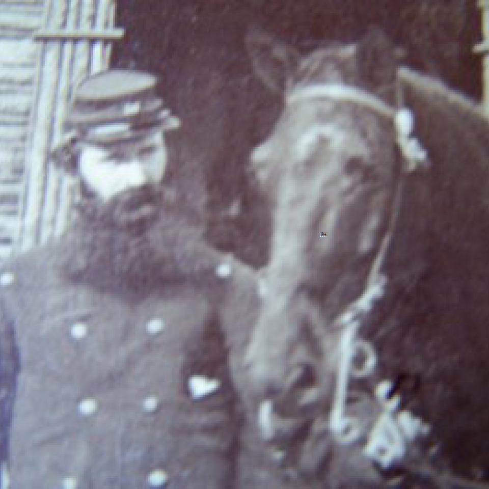 Cw image  mjr. g.w.ford 50th ny eng.  va. files20170915 6488 tc6tx