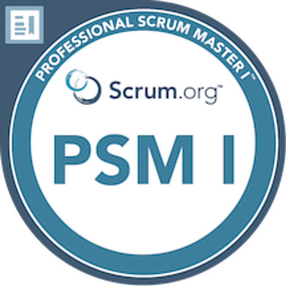Professional scrum master i psm i