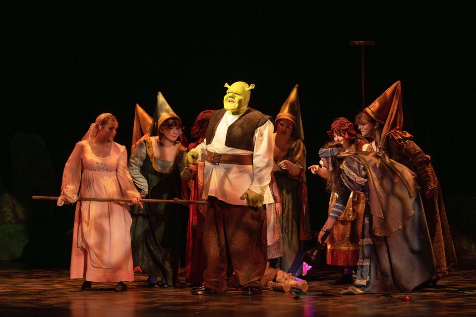 Shrek aiden brown