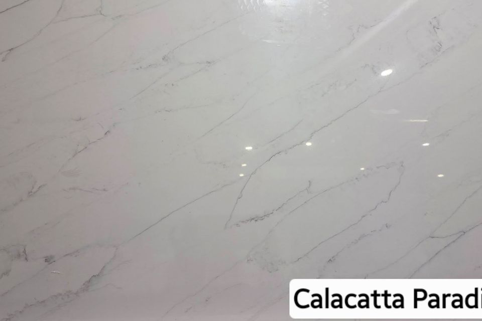 Calcatta paridiso