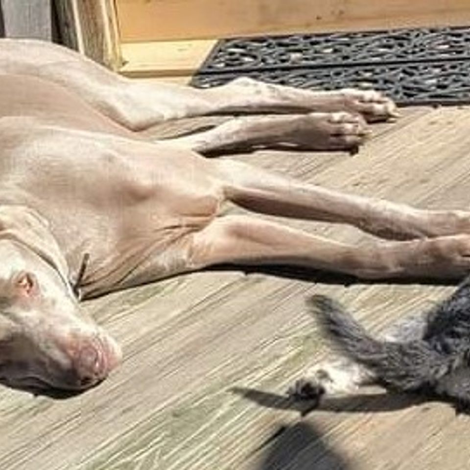 Fb img 1695320002256