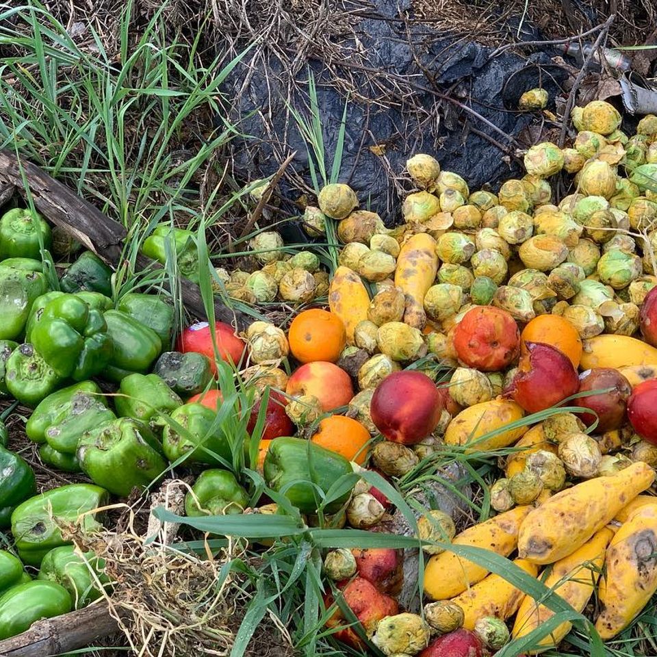 334133093 770061097531056 403610718050441126 n