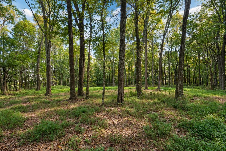 6 web or mls 2994 pulaski hwy   clear lens real estate photography 6