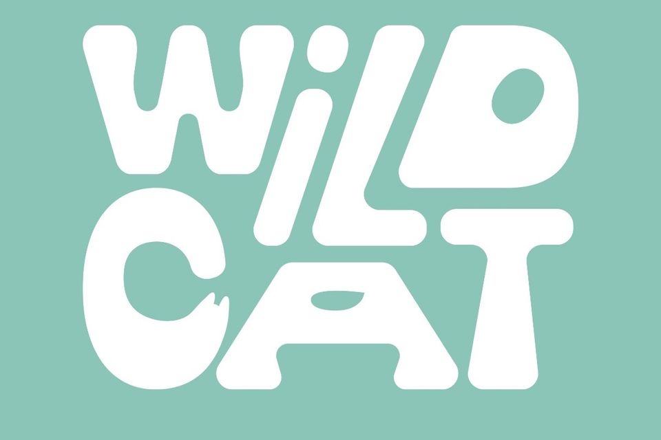 Wild cat logo