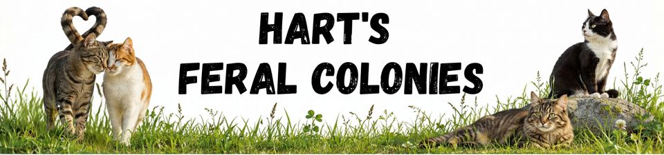 Hart's feral colonies