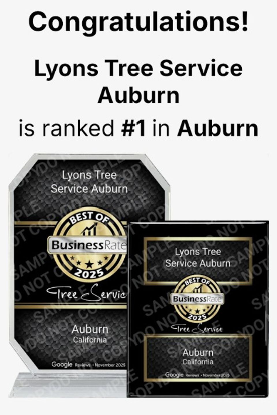 Lyons Tree Service is a BBB Accredited Business providing top-rated tree removal and pruning services in Roseville, Rocklin, and Auburn, CA.
