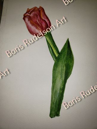 Tulip