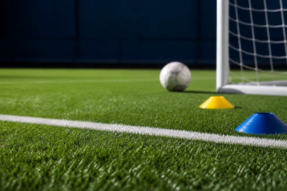 Turf