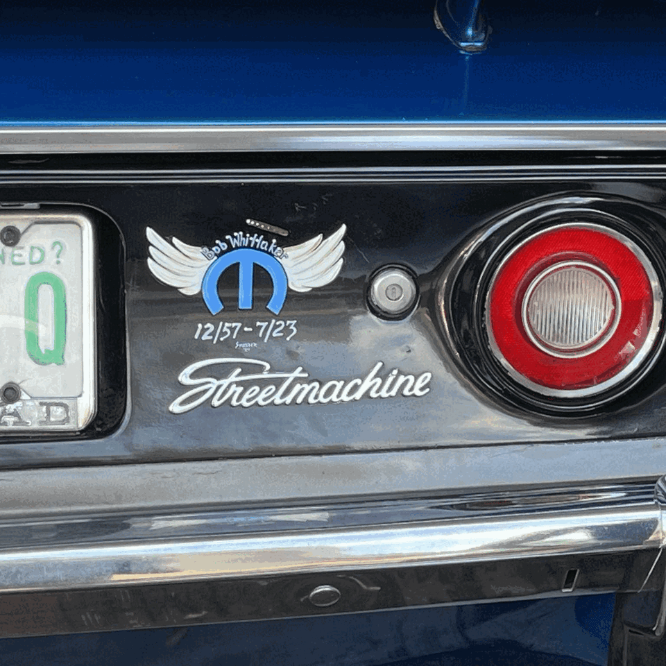 Creative custom pinstriping design and artistic projects created by Skeeter's Grafix.